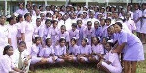 Delta State Schools of Midwifery