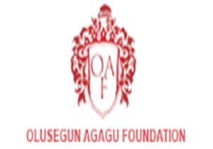 Olusegun Agagu Foundation Scholarship