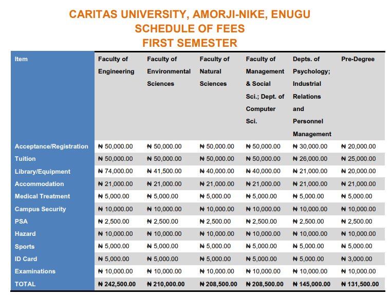Caritas University School Fees
