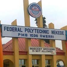 Nekede Poly