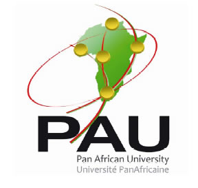 Pan African Scholarship