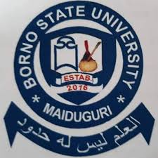 borno state uni